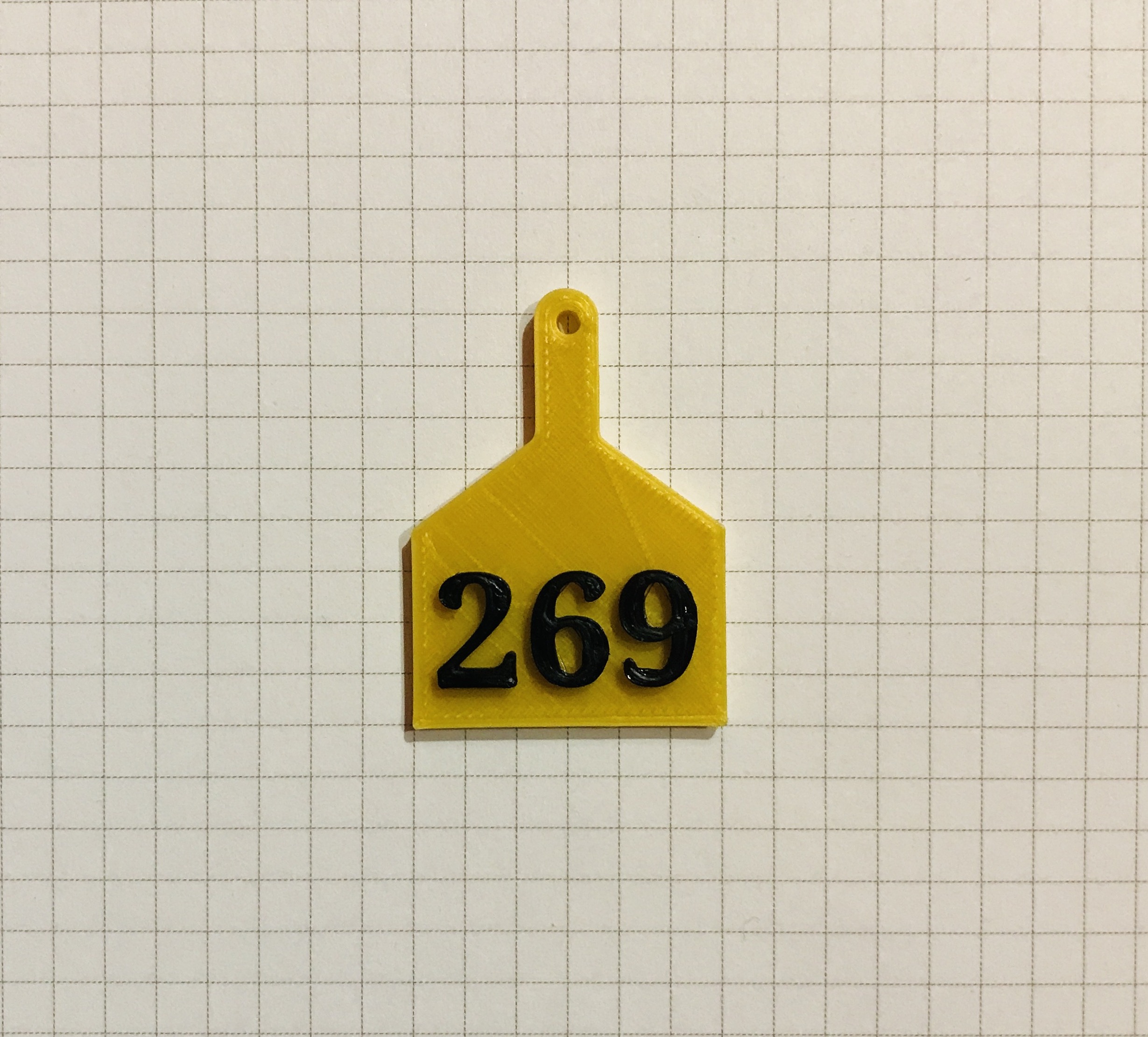 269 earring