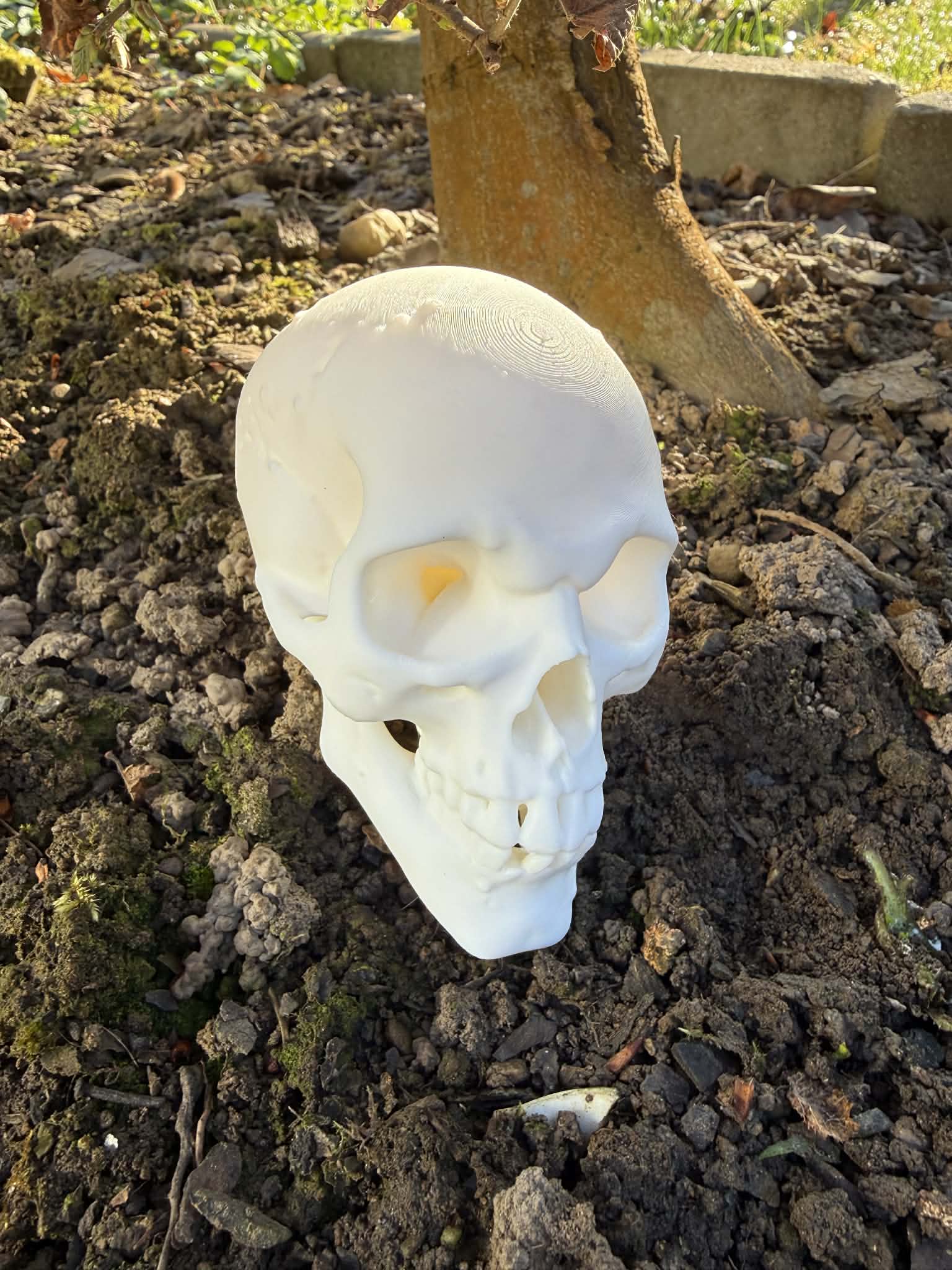Goblin Skull, Orc