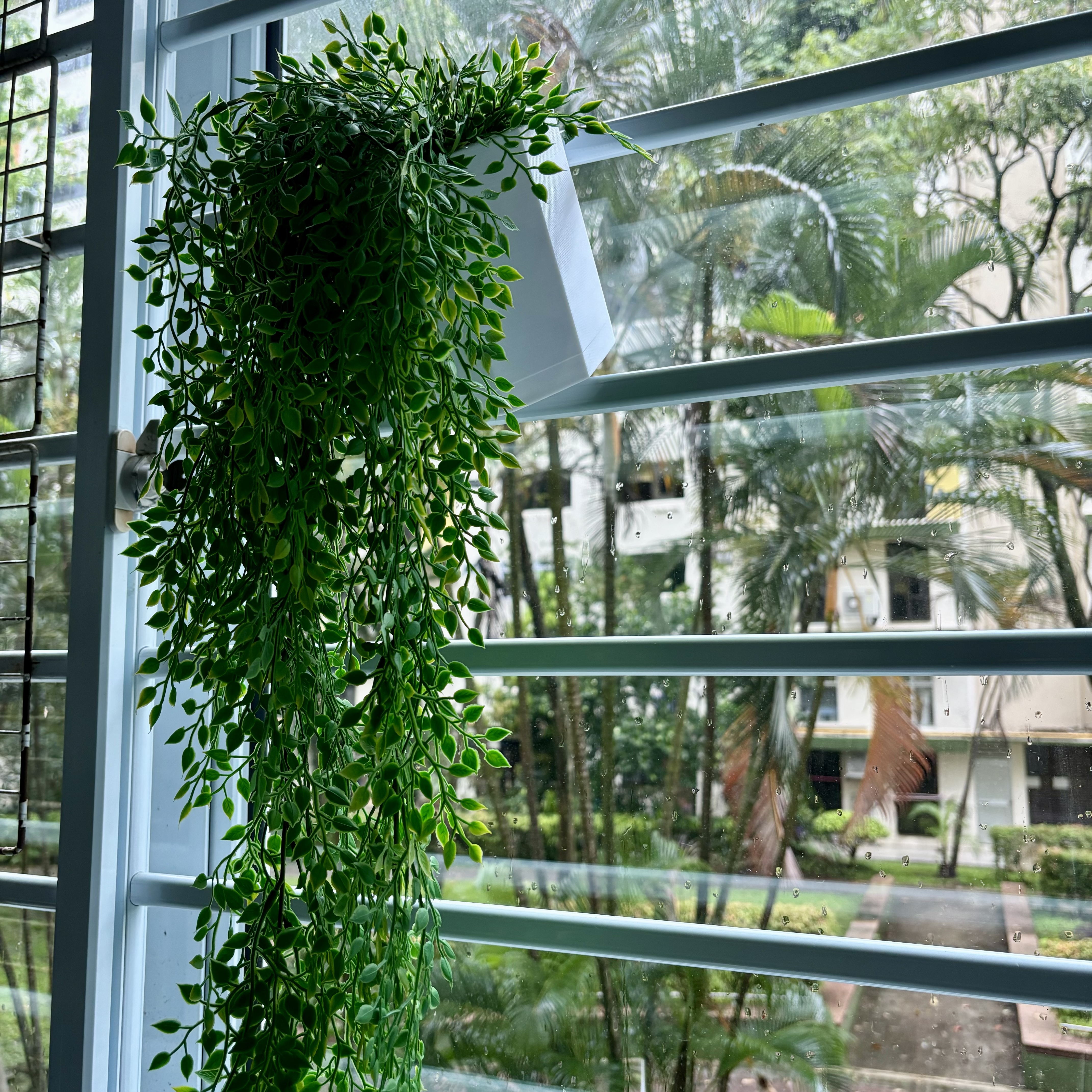 Hanging Plant Pot