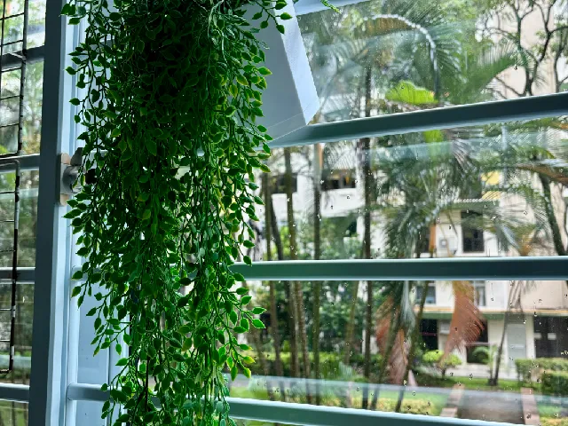 Hanging Plant Pot