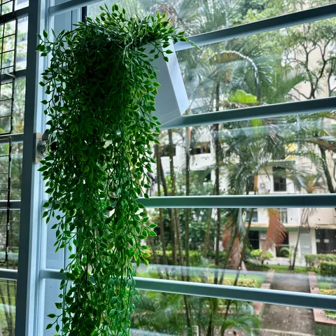 Hanging Plant Pot
