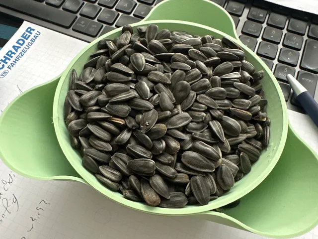 [OLD VERSION] Sunflower Seed/Pistachio bowl