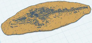 fake fossil