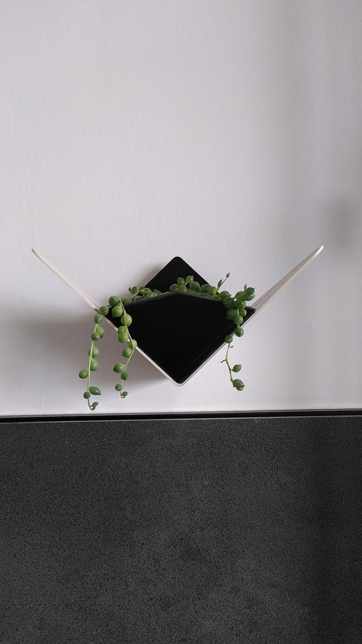 Plant holder for Umage Butterflies hook