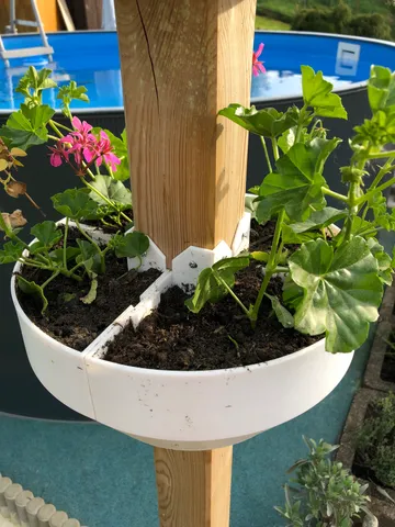Blumentopf flowers