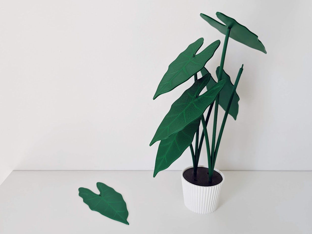 Alocasia Frydek plant with 6 coasters by shelby-eleanor | Download free ...