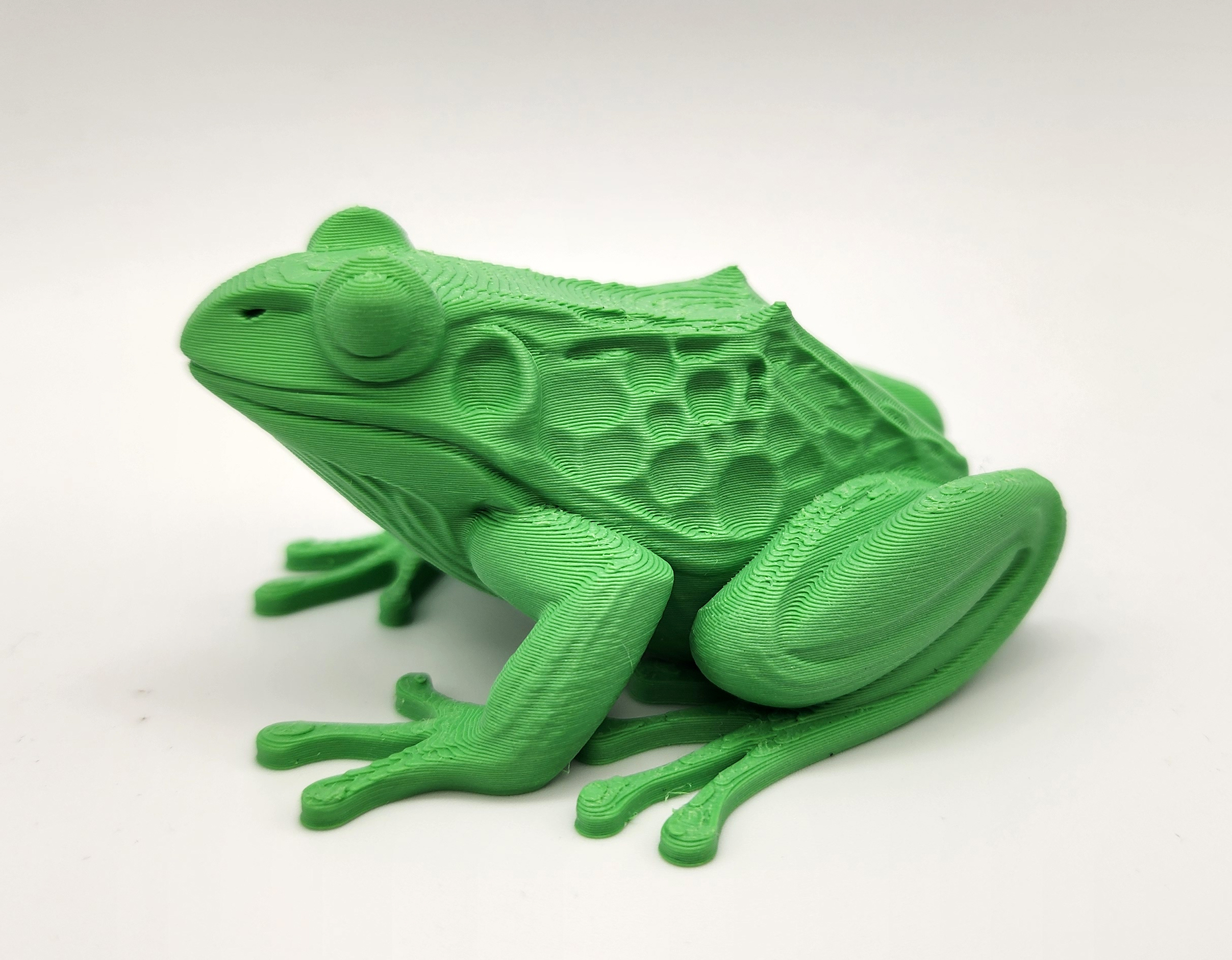 Miniatura 6 do modelo 3D Realistic Frog