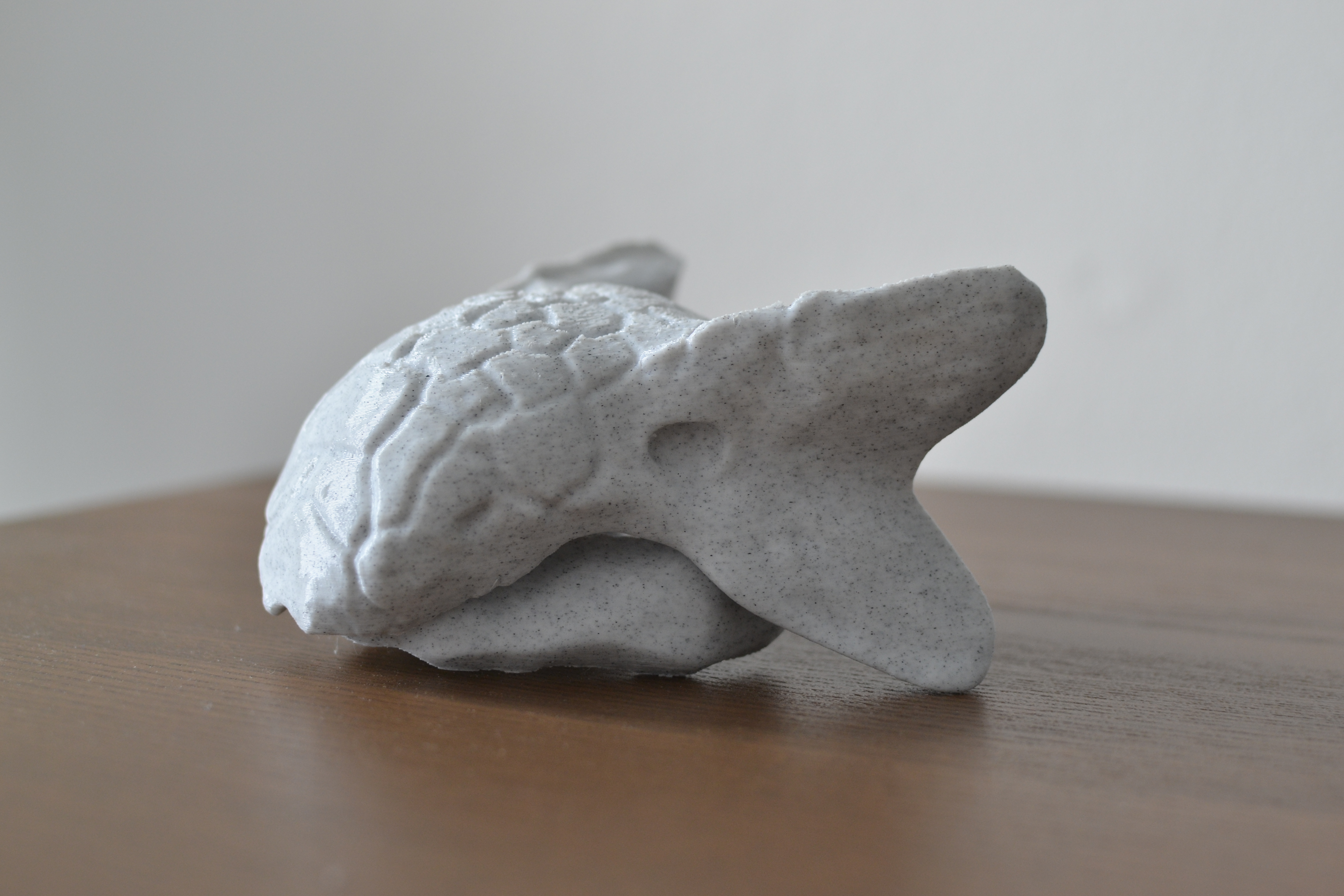 Ankylosaurus skull by G.Zeus | Download free STL model | Printables.com