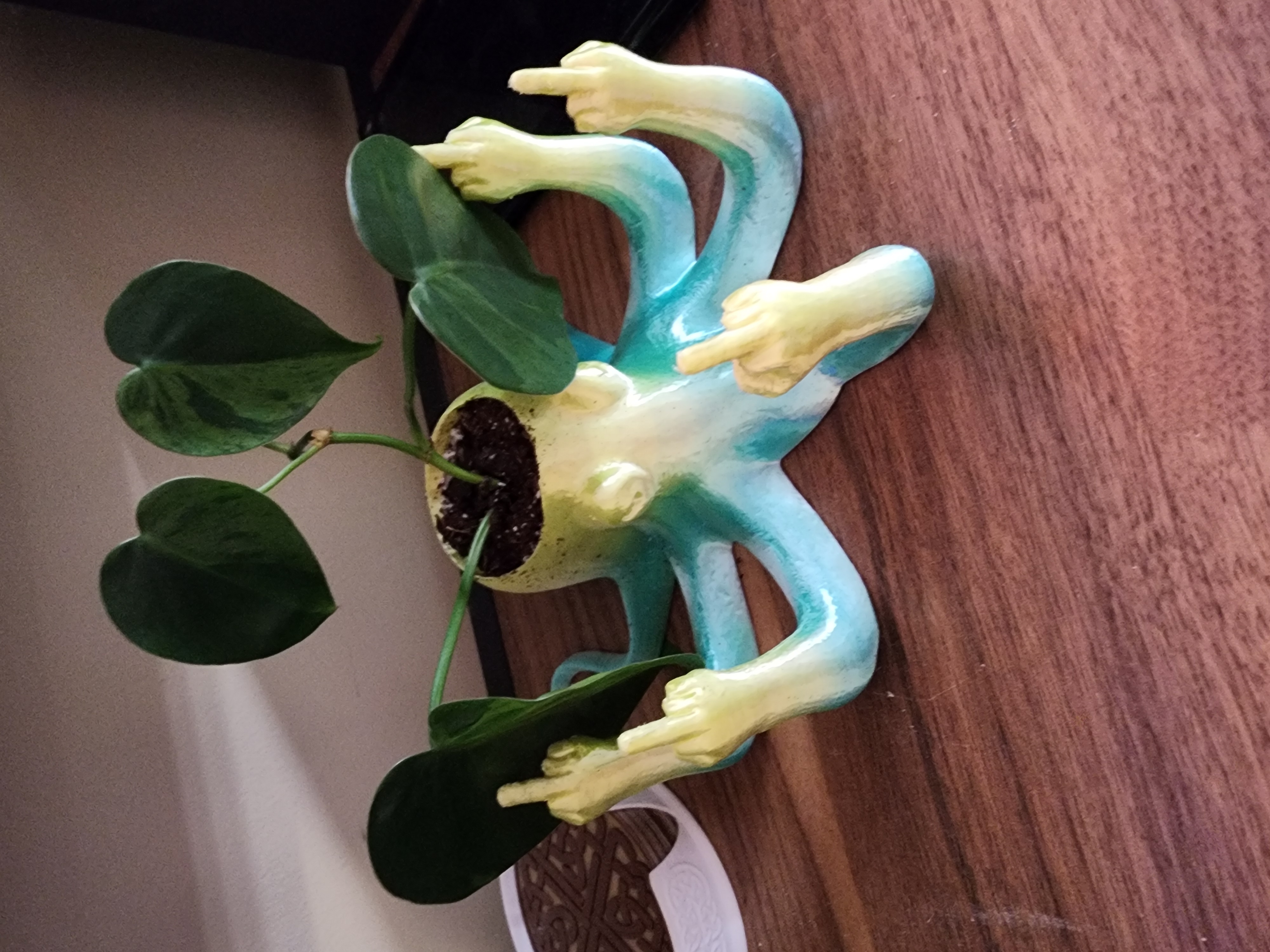 Rude Octopus planter with drain holes