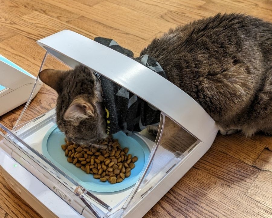 SureFeed microchip pet feeder shallow raised bowl by Catdad Workshop Download free STL model Printables