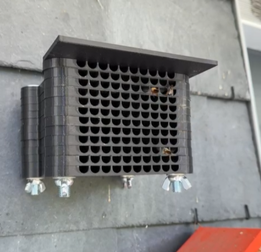 Forest bee House
