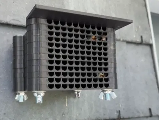 Forest bee House