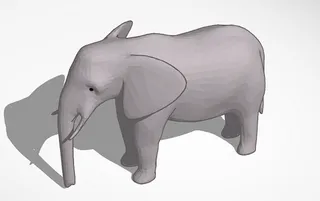 Elephant