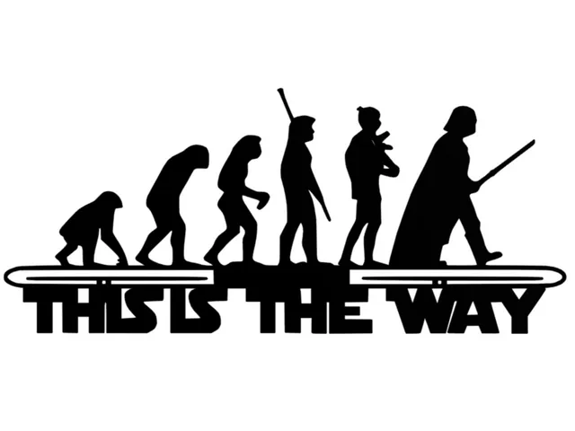 Starwars evolution - wall art