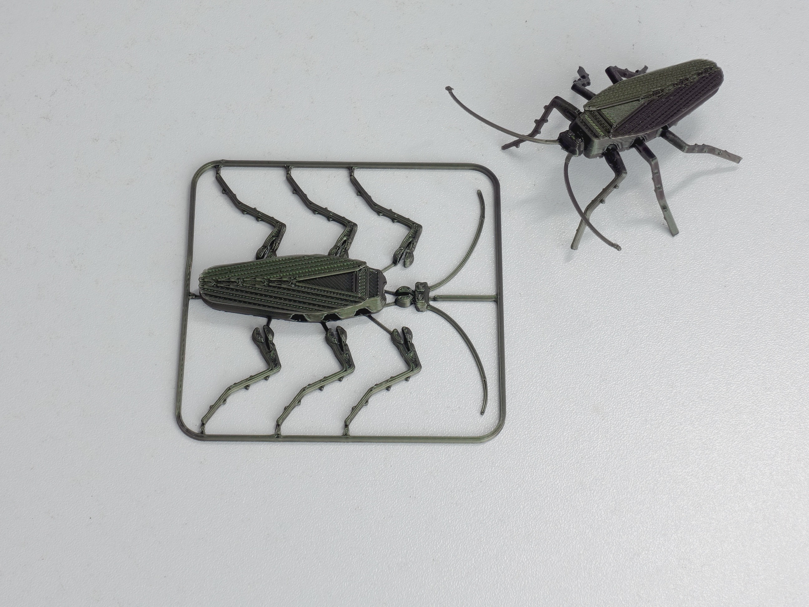 Articulated Roach
