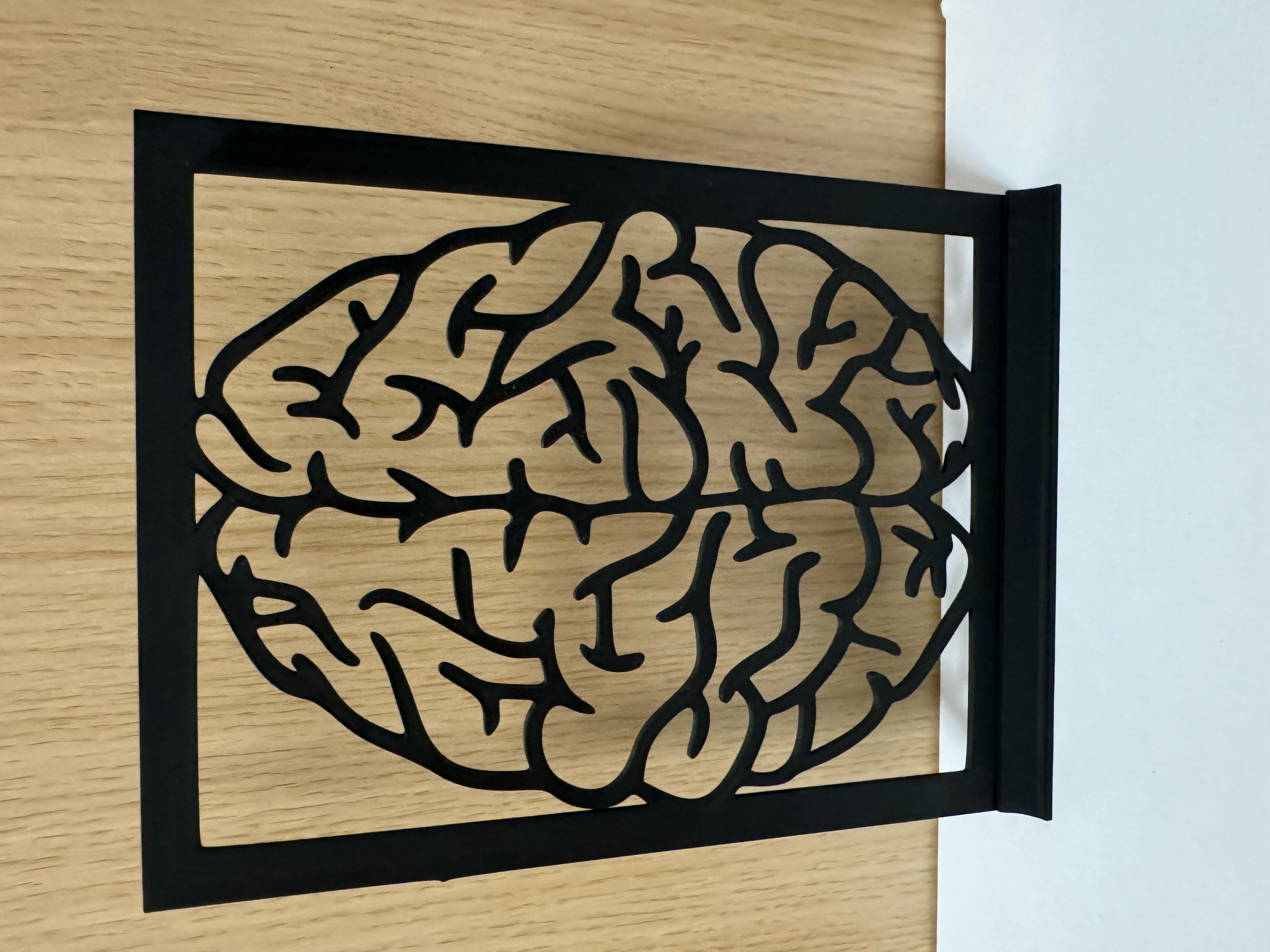 Brain