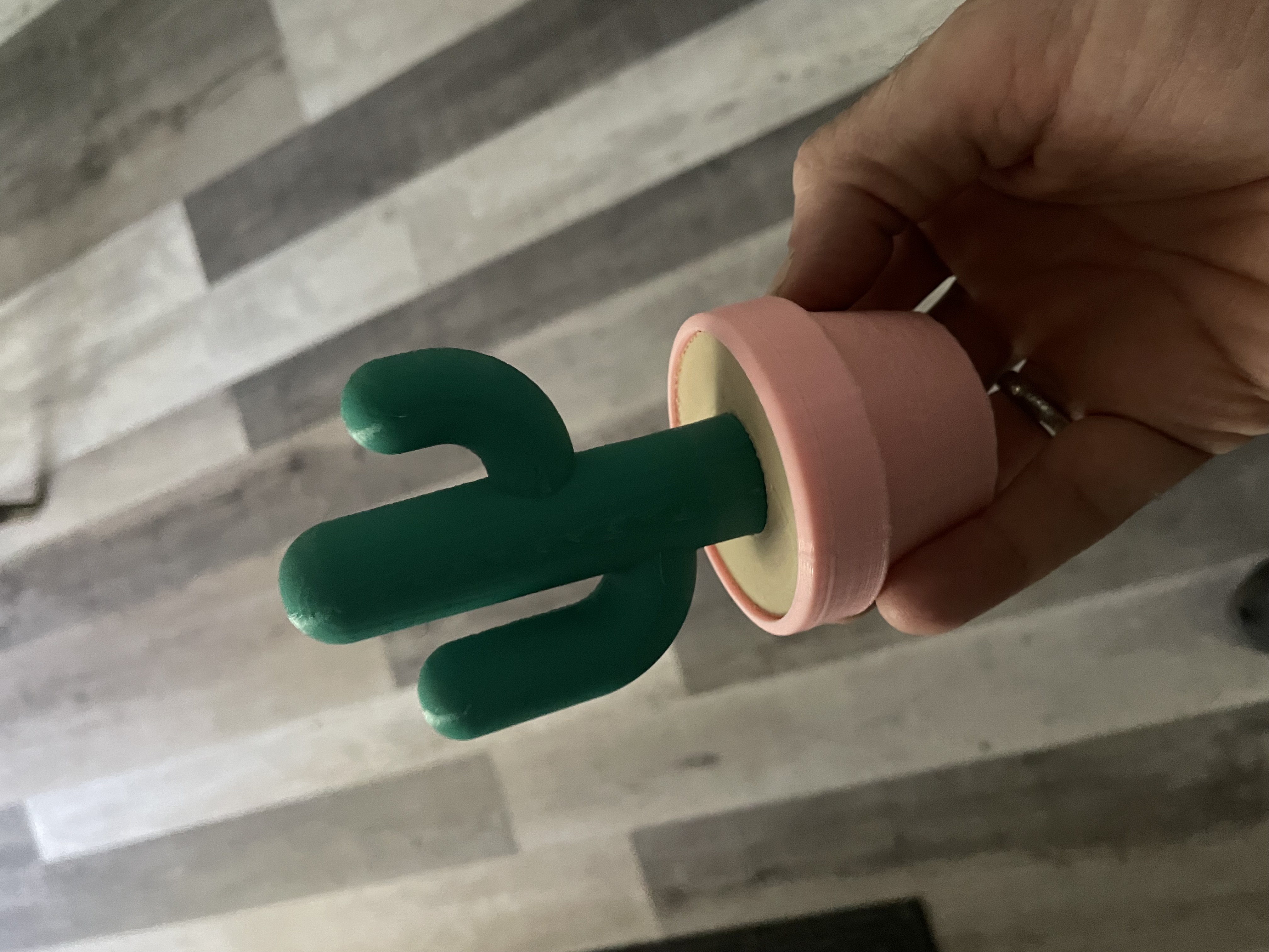 Potted Cactus Ring holder