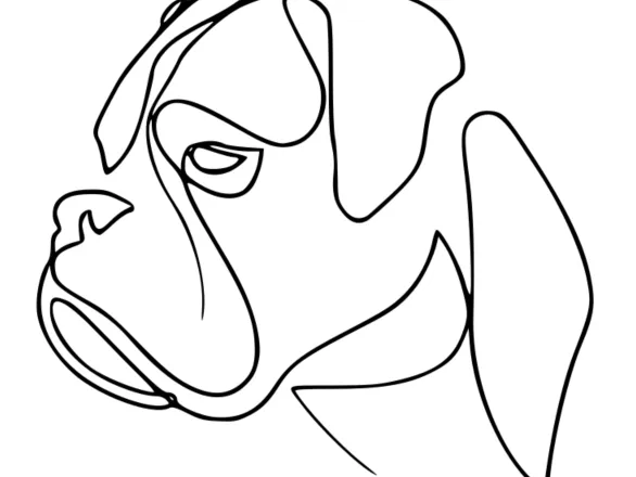 Boxer Line Art