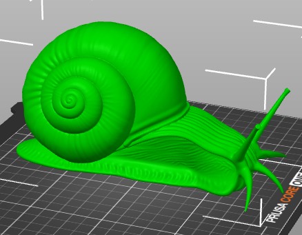 SNAIL GARDEN ŠNEK ZAHRADNÍ