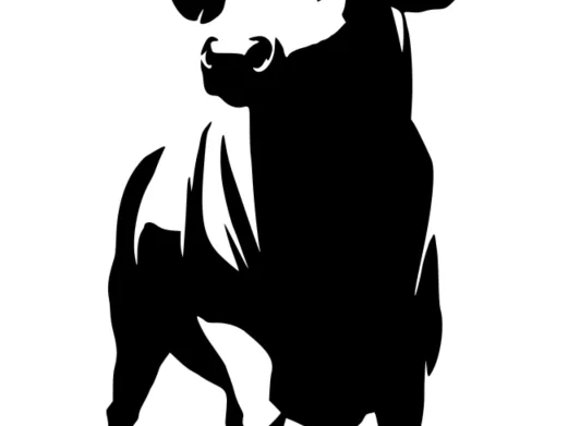 Bull wall art