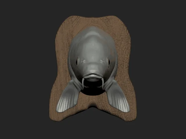 Carp statue wallmount