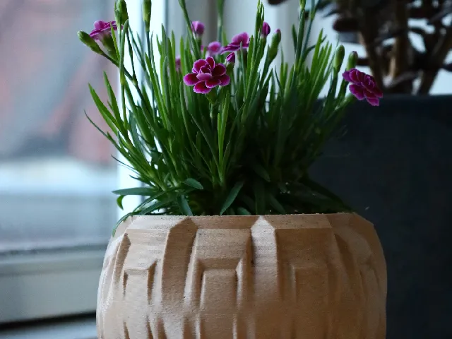 Pot 1