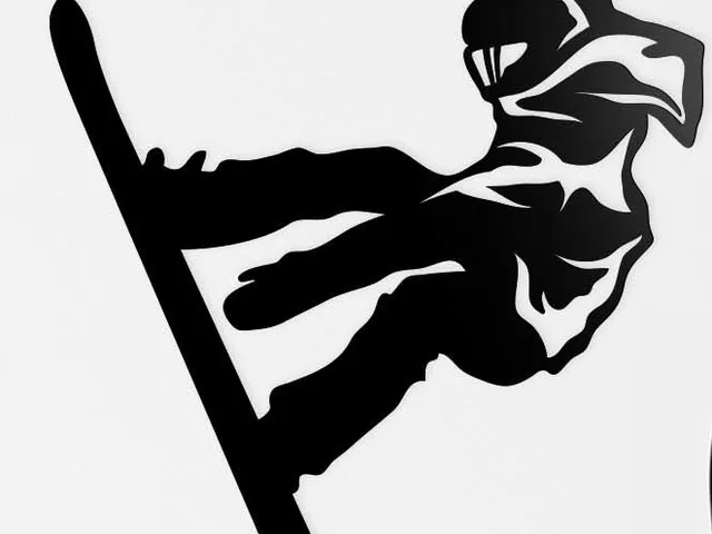 snowboard - wall art
