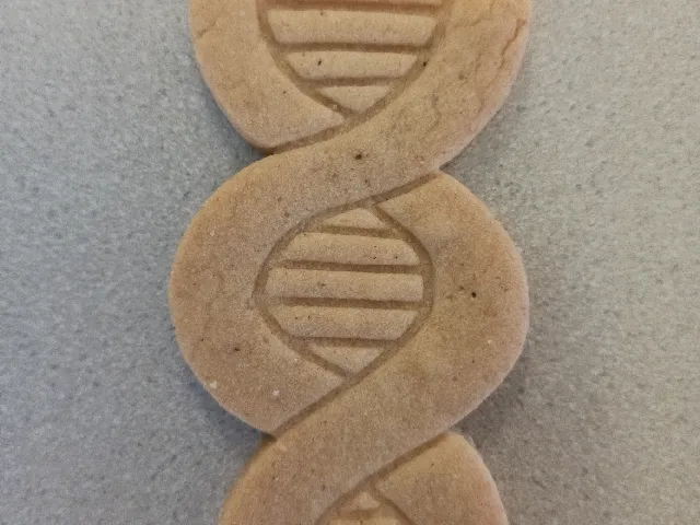 Cookie cutter DNA