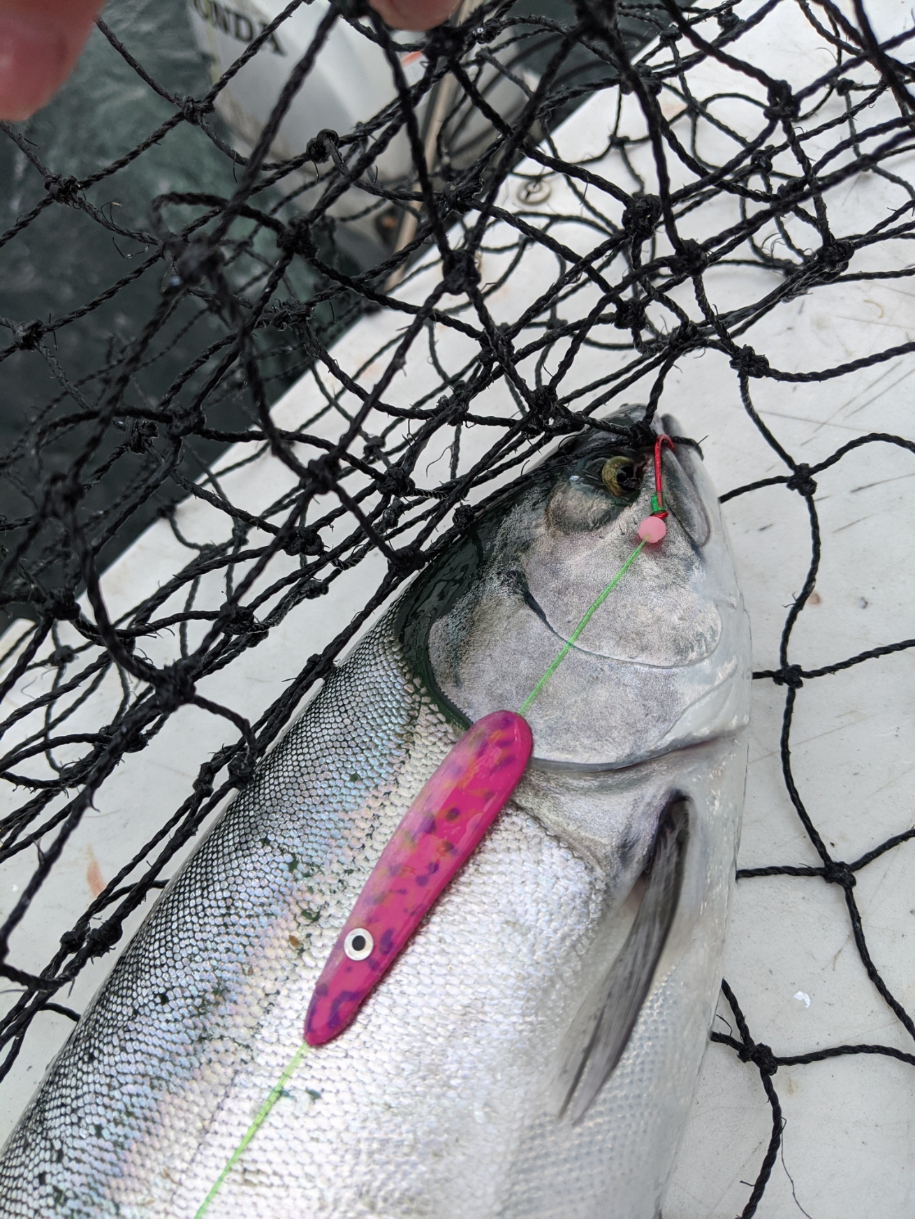 Fishing spoons