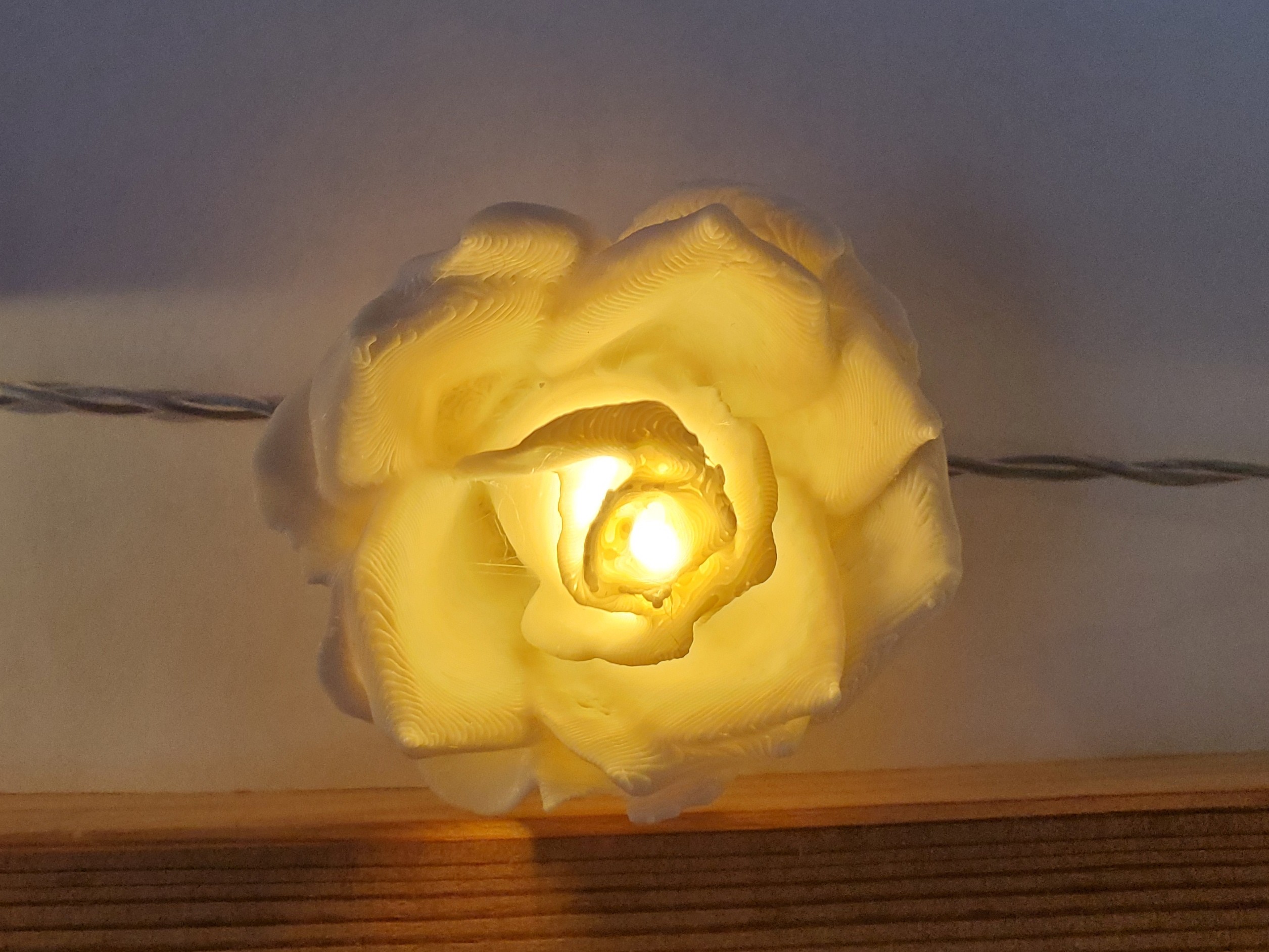 Rose Lights Adapter for Ledfyr LED lights
