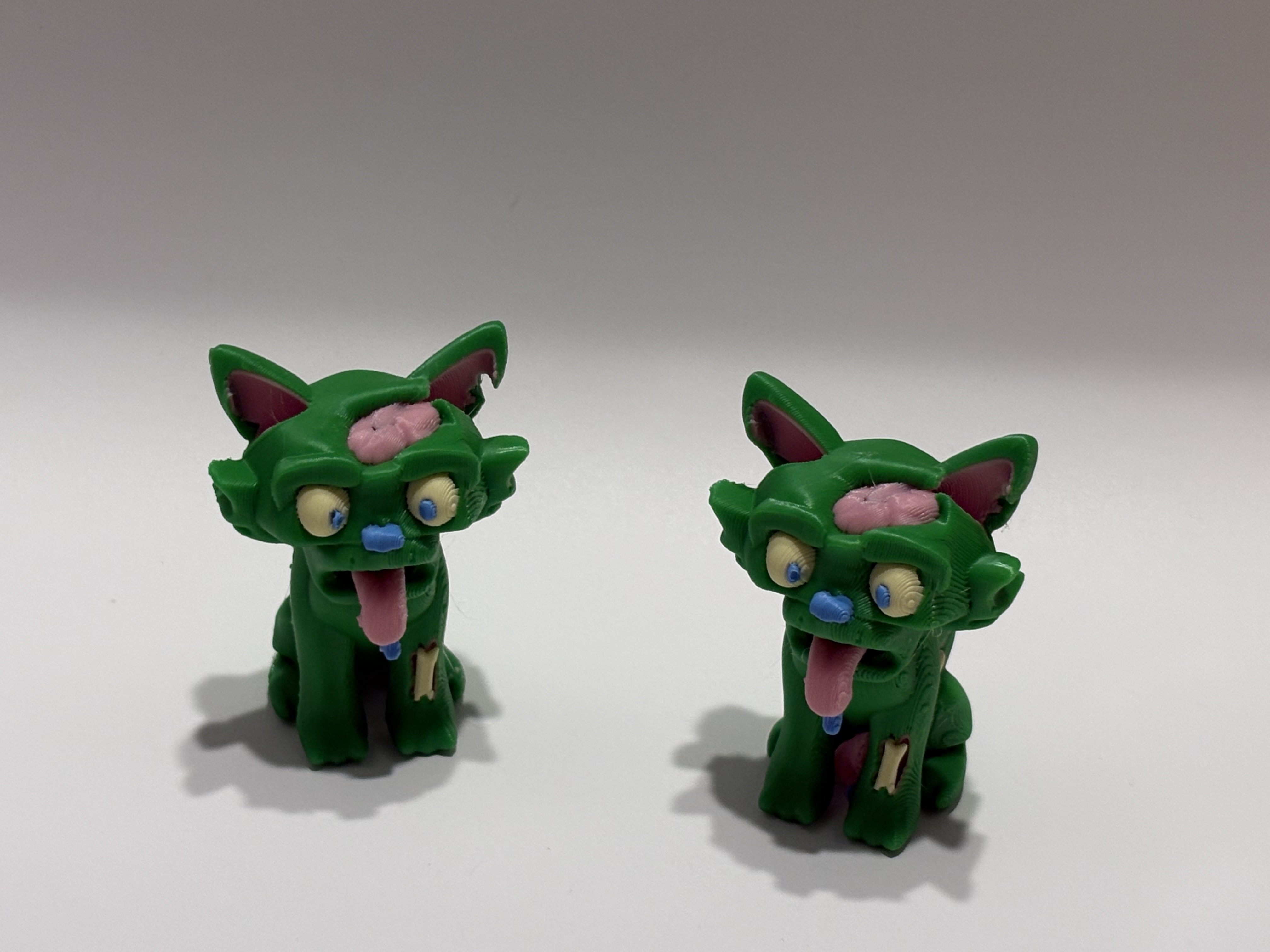 Zombie Cat!