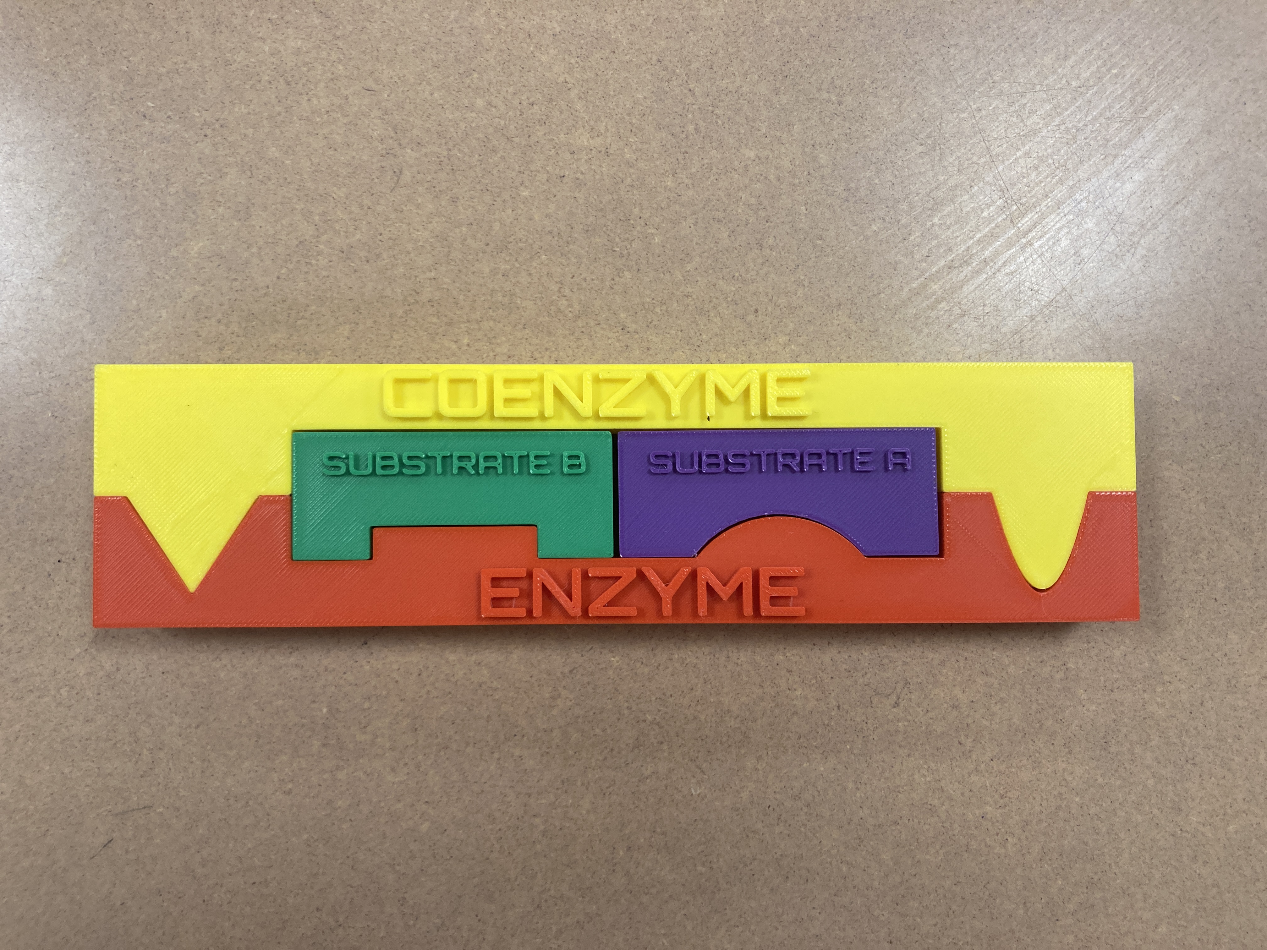 Miniatura 2 do modelo 3D Enzyme Lock and Key Model