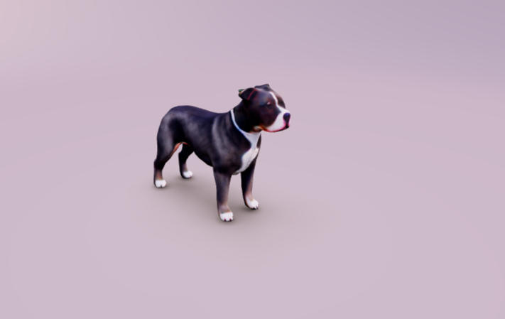 pittbull dog