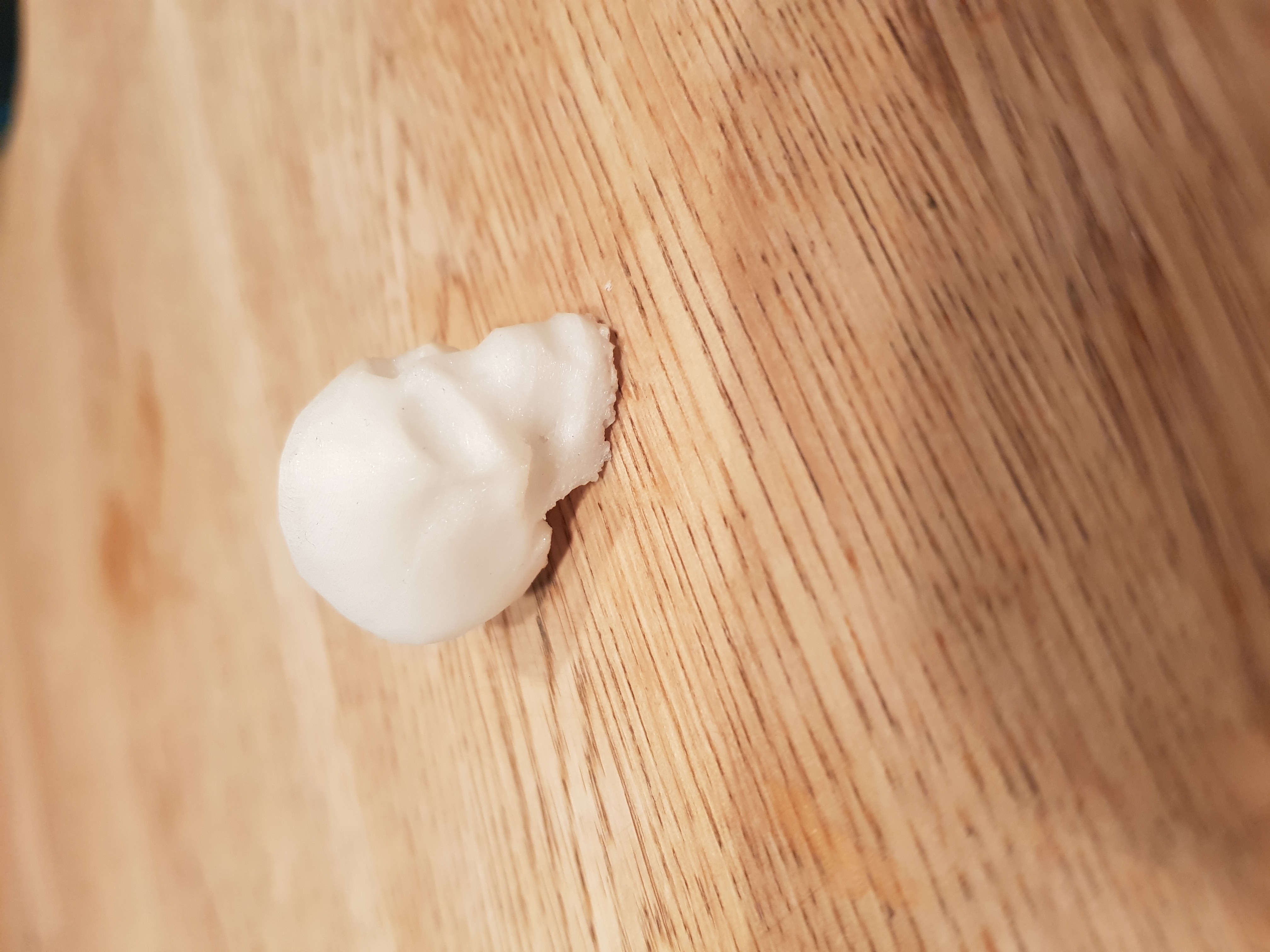 Miniatura 6 do modelo 3D T-Rex Skull