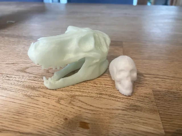 T-Rex Skull