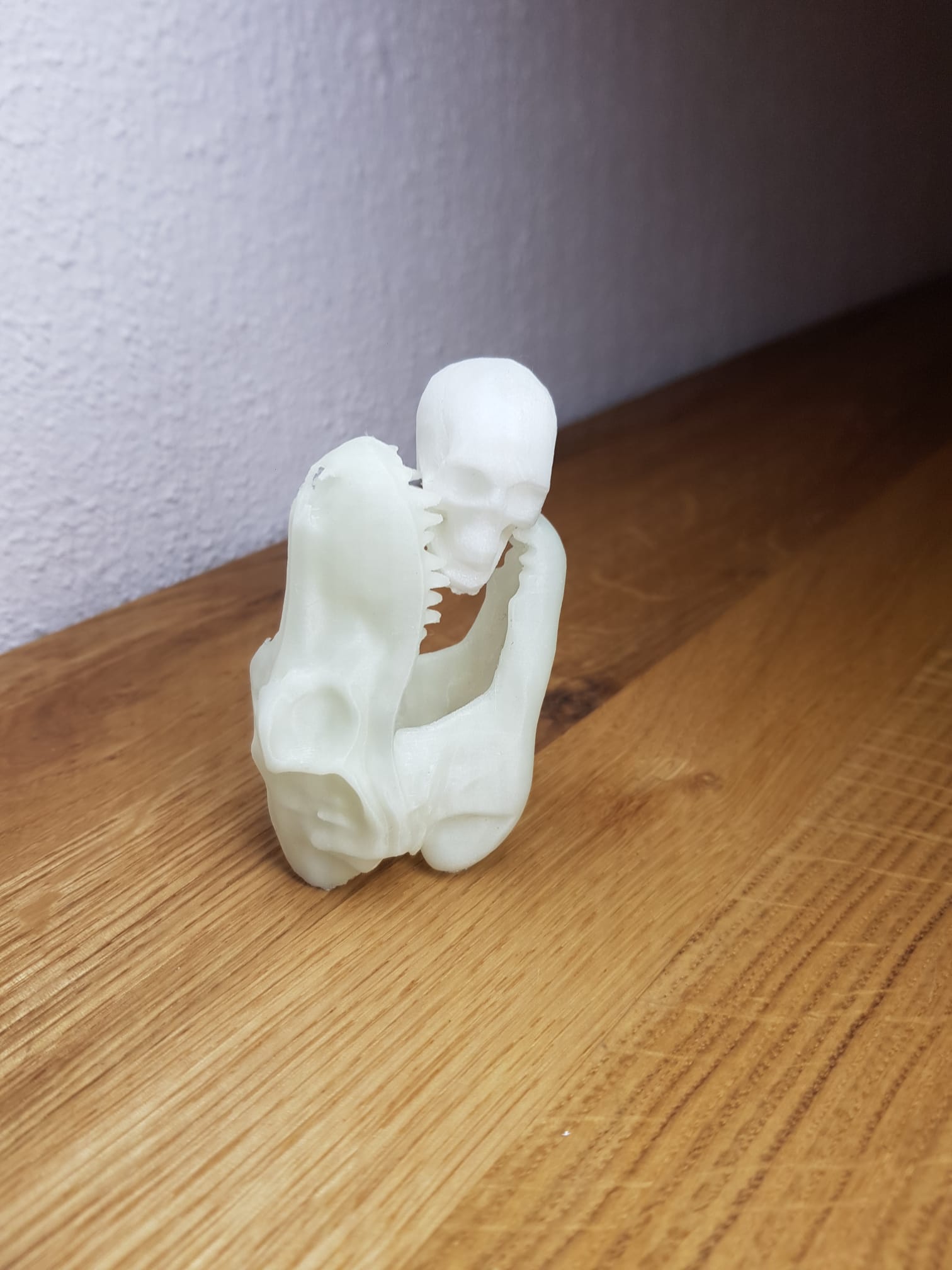 Miniatura 2 do modelo 3D T-Rex Skull