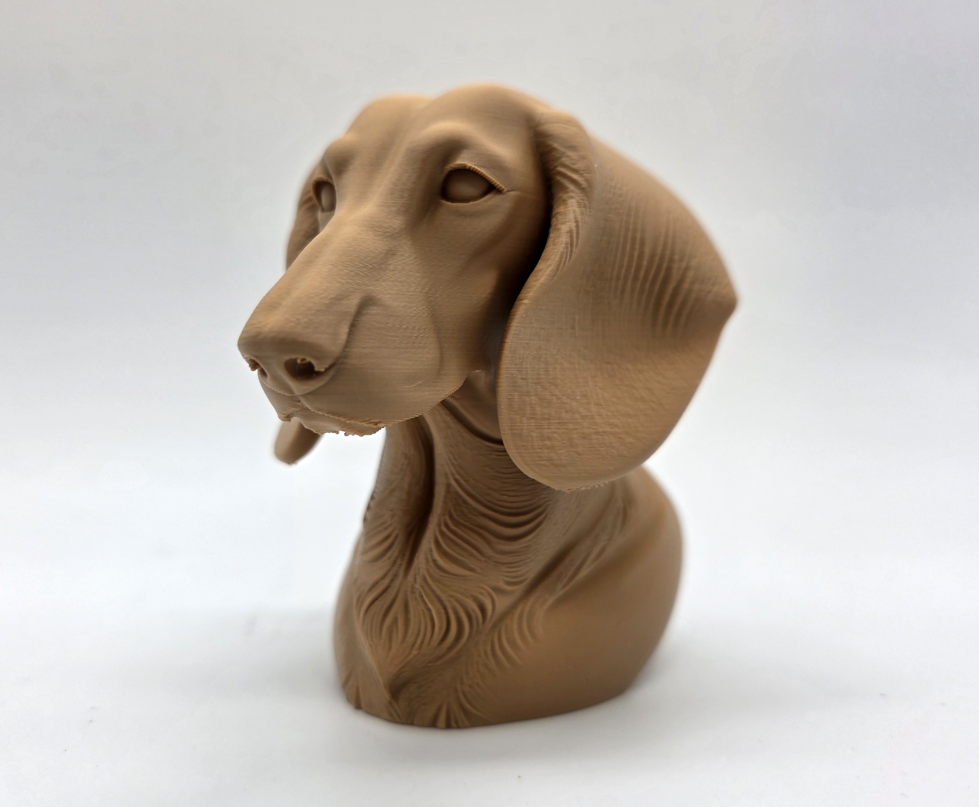 Dachshund Bust