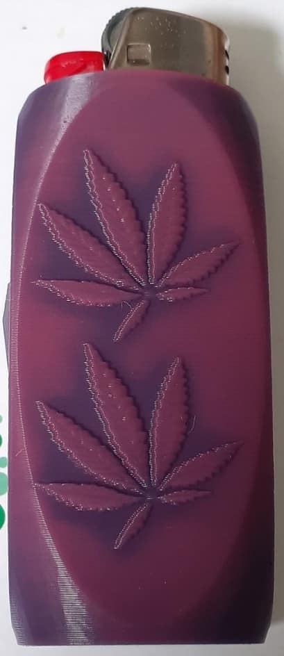 FREE 420 bic case!