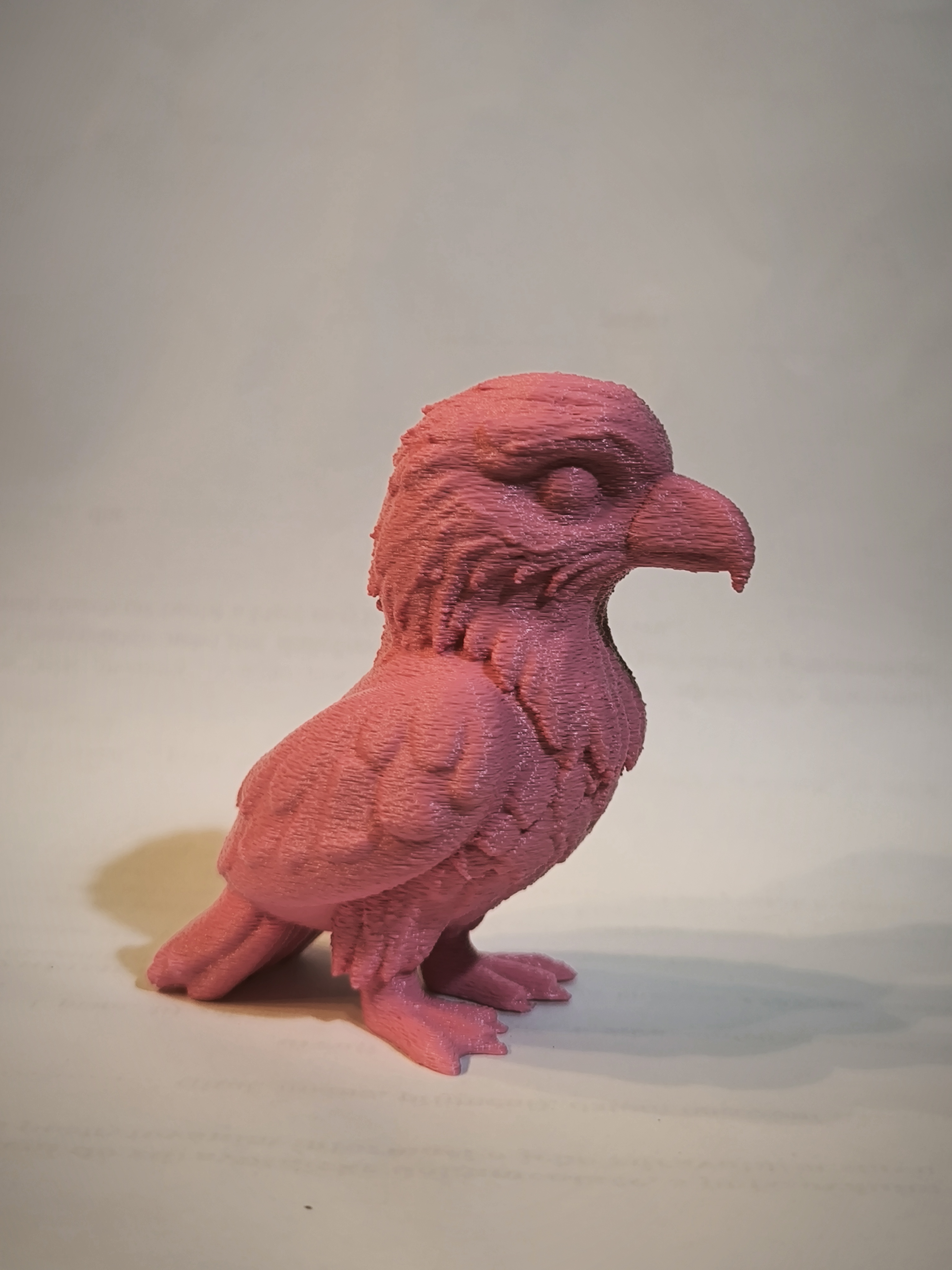 Miniatura 3 do modelo 3D Cute baby Eagle
