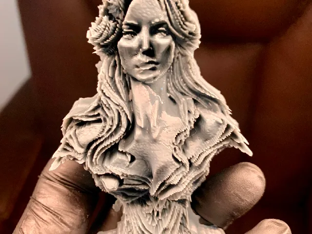 HIGHLY ABSTRACT FORCED PERSPECTIVE FEMALE BUST...