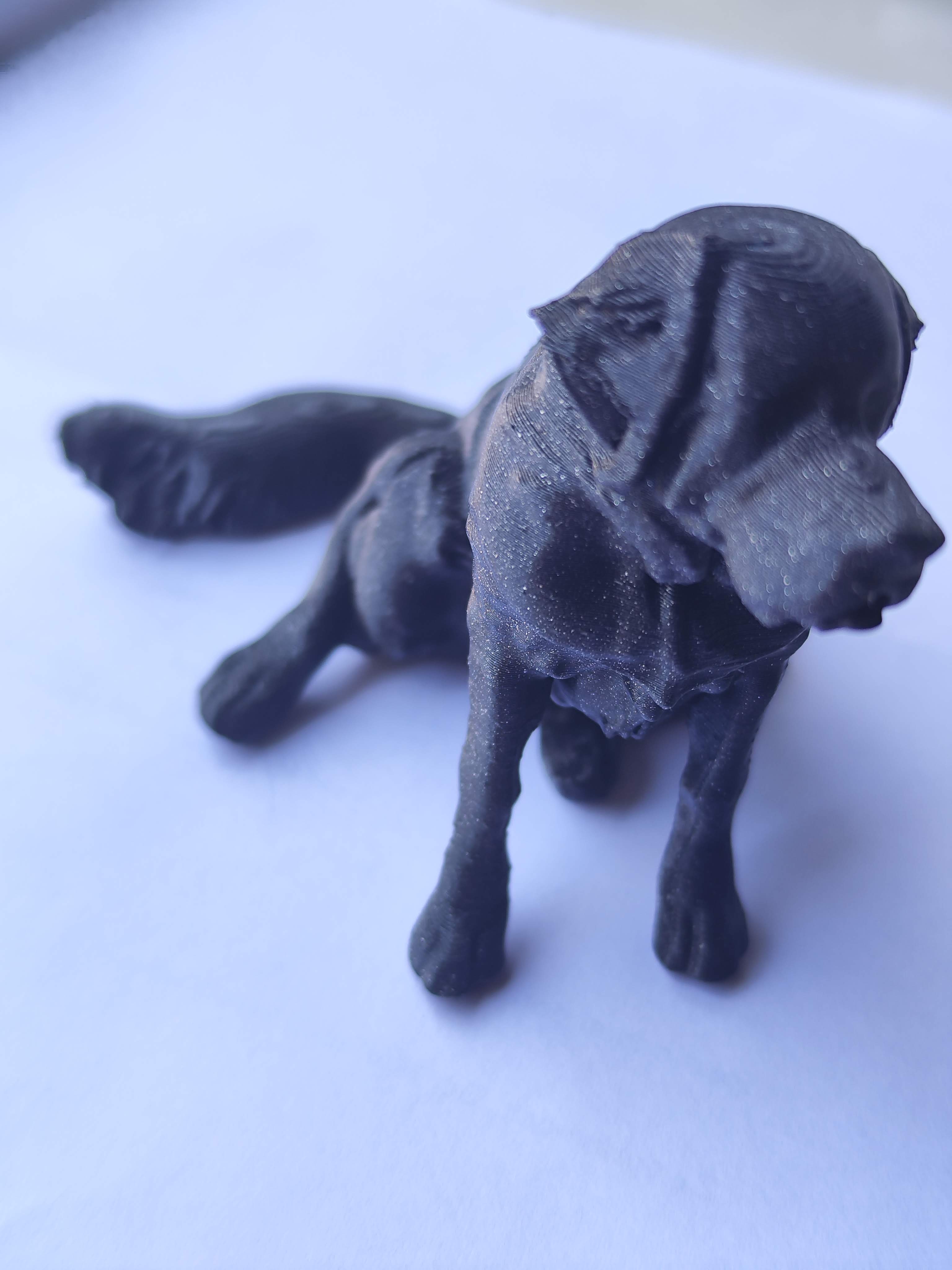 Bernardýn — miniatura 2
