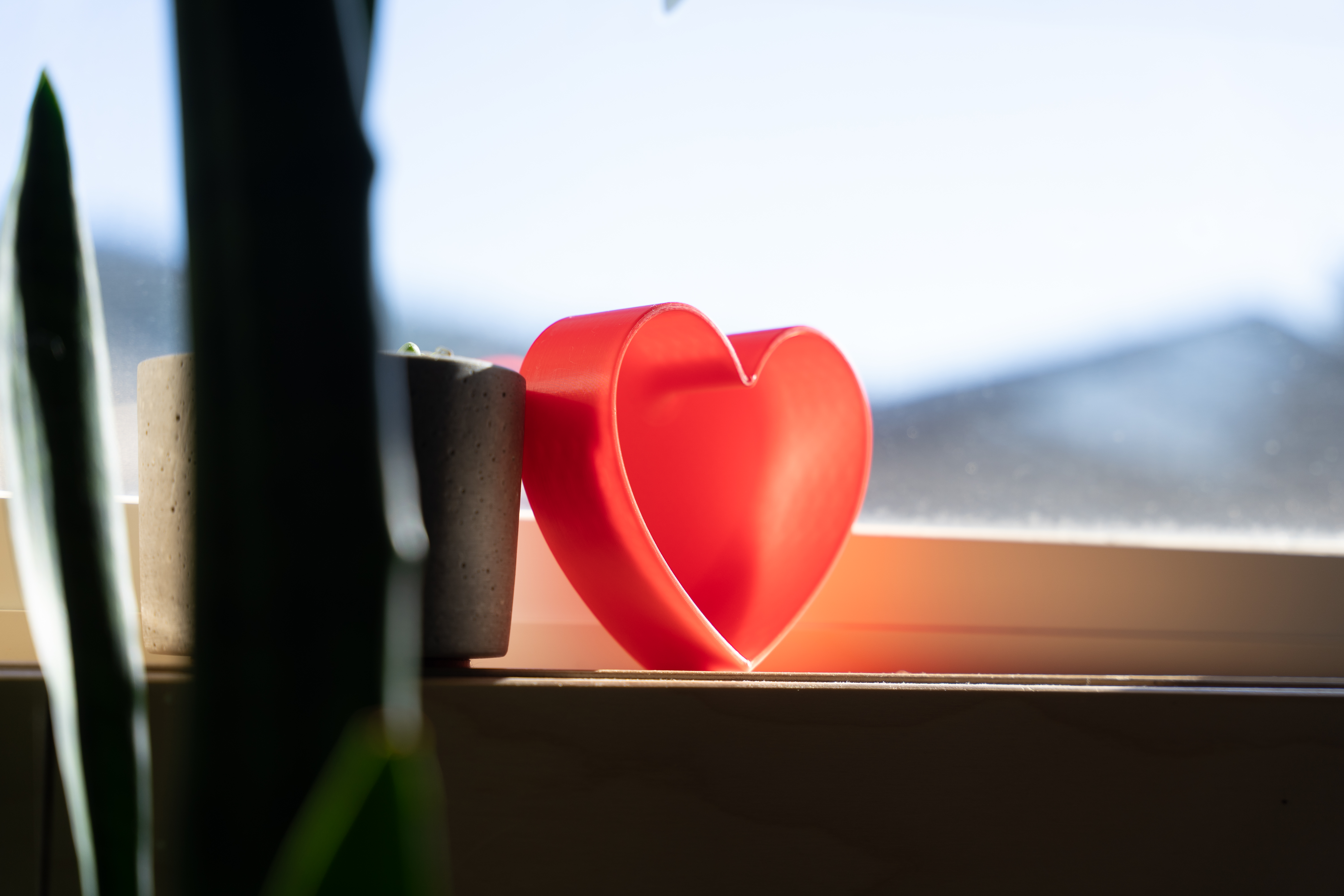 Heart shaped box with lid