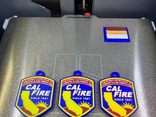 Cal Fire Backpack tag/ Keychain