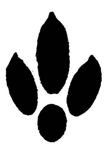 Arabian wolf paw 3D model