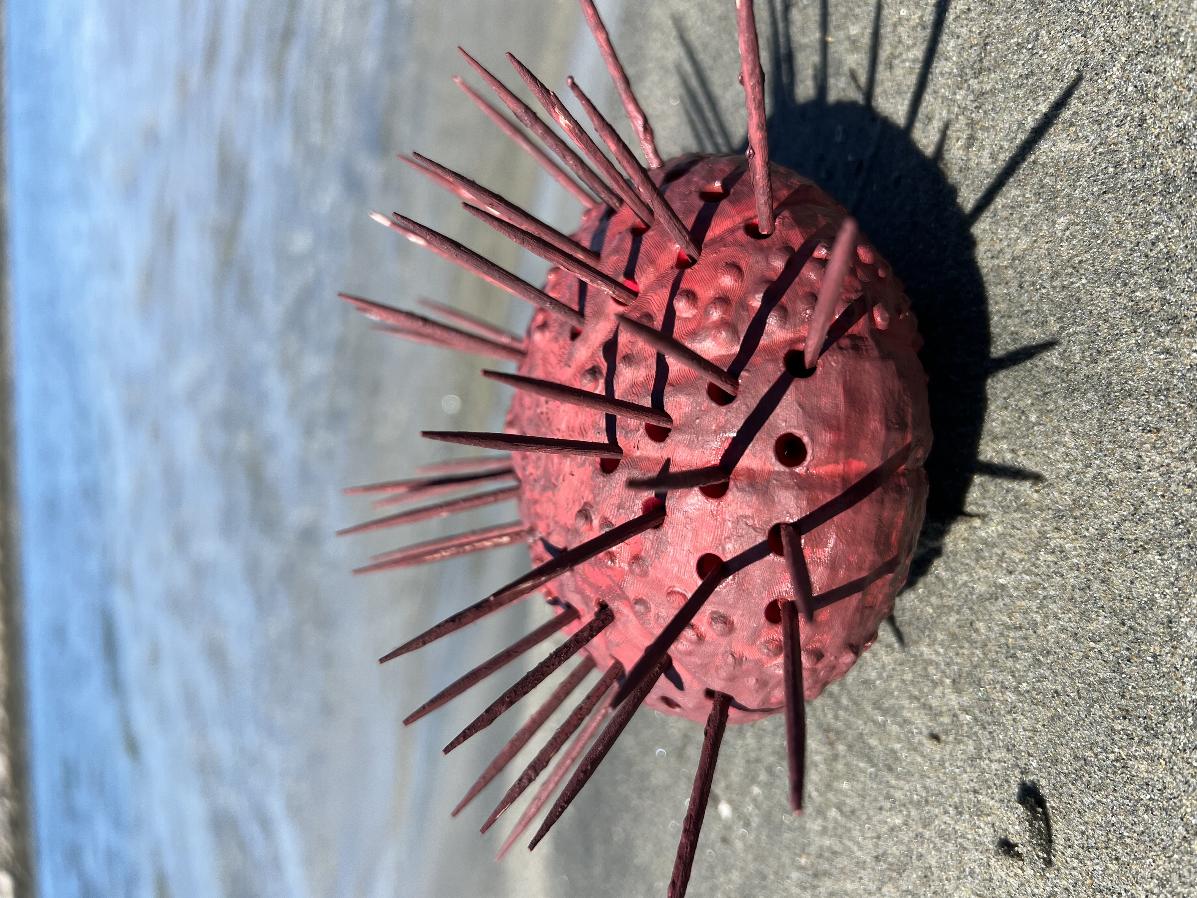Sea Urchin Toothpick Holder