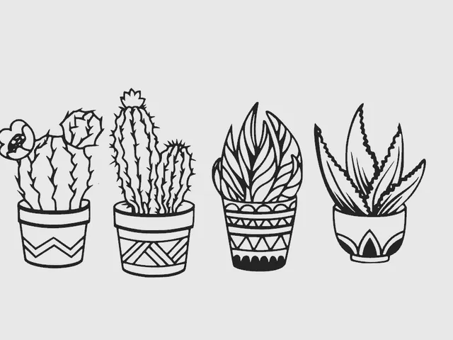 Cactus plants - wall art
