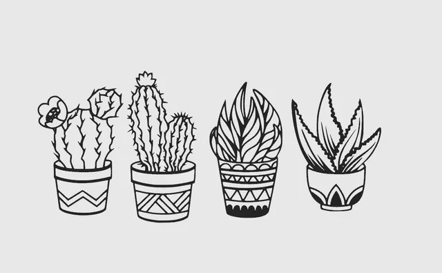 Cactus plants - wall art
