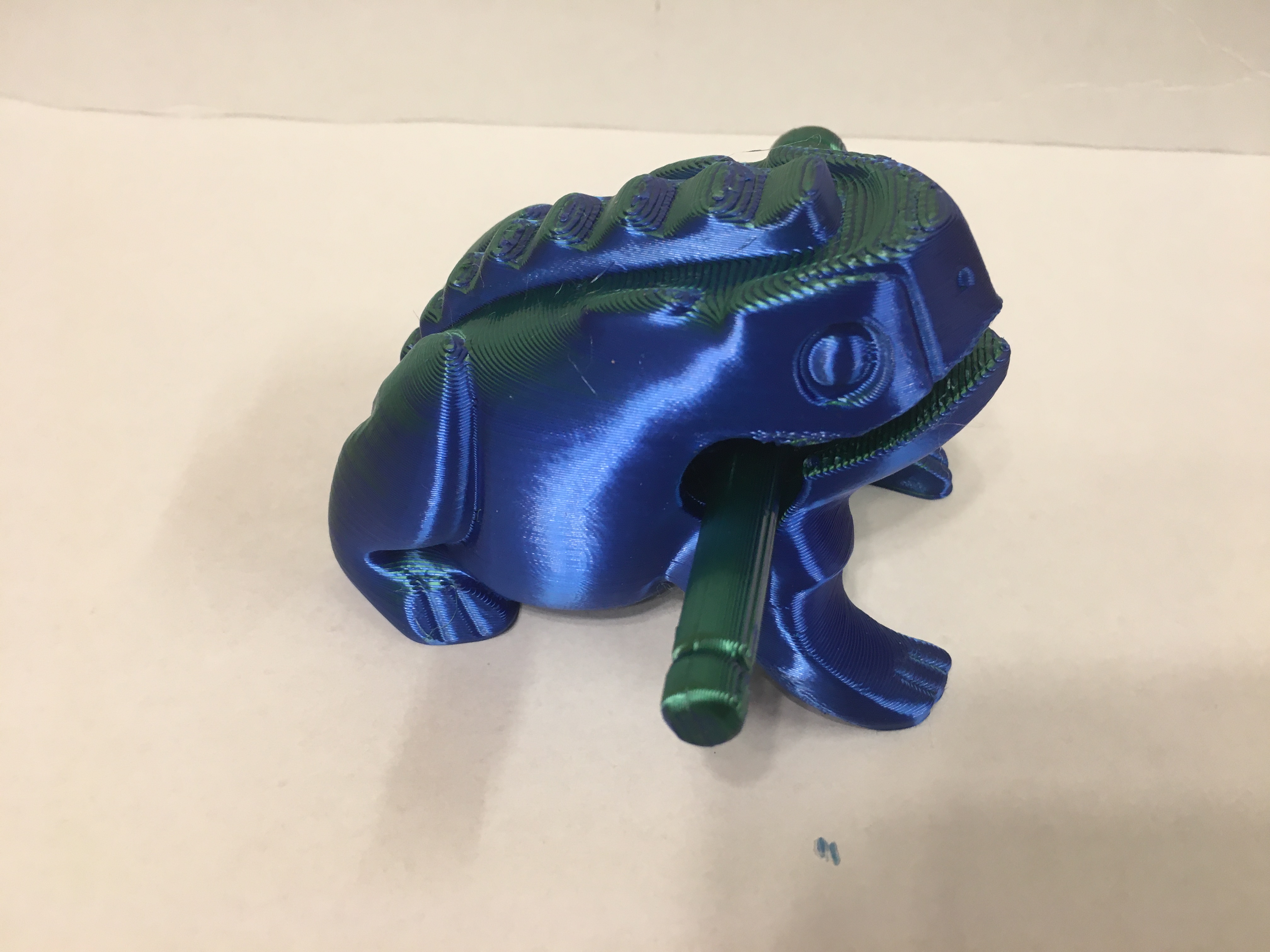 Guiro - the whole Percussion frog with support only in the mouth by ...