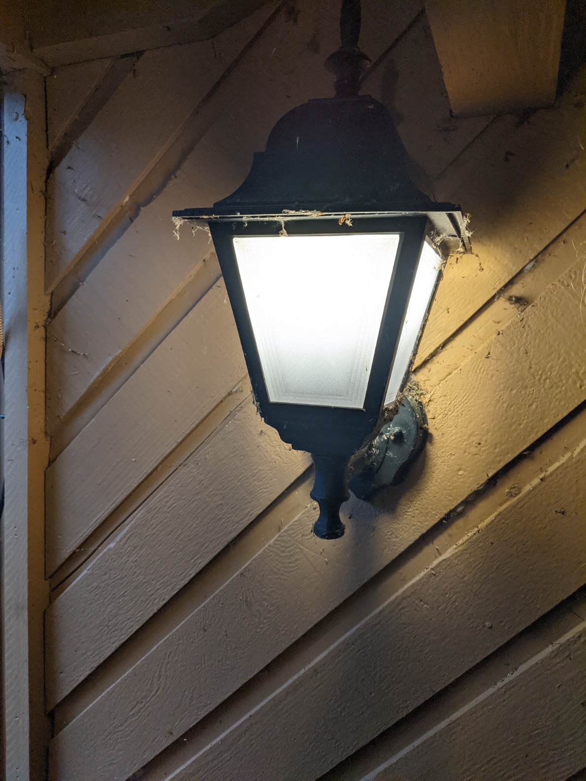 Porch Light Frosted Panels - Decorative