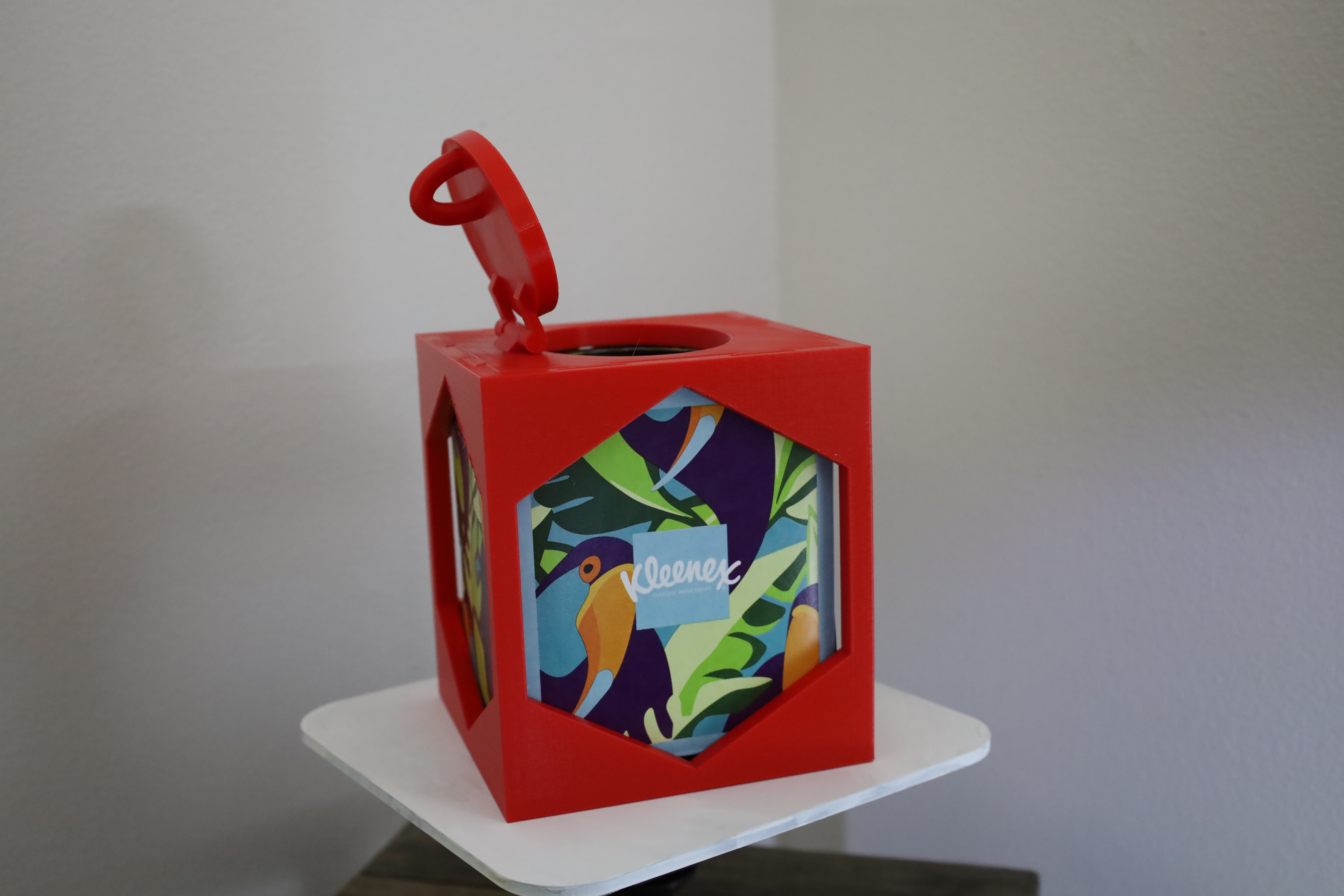 Tissue Box Enclosure
